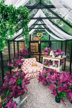 Demir bir serada yaşayan mor leylak. Cam bir seradaki fotoğraf bölgesi ve taze leylak çiçekleri. Hafif yumuşak sandalyeli küçük leylak çiçekleri