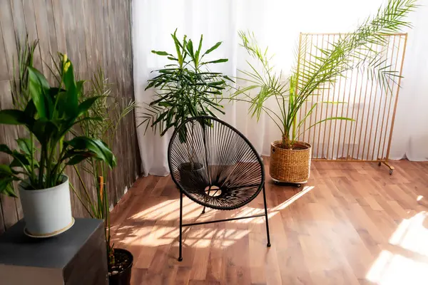a black wicker armchair with fresh flowers and a wooden wall. a ready-made photo zone in the photo studio. artificial rattan armchair in the room