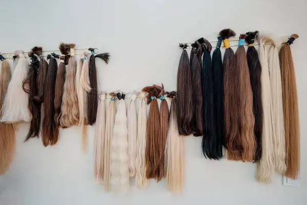 stock image Wig blanks on the wall at the wig maker. Bundle of natural hair for hair extensions. Real hair gathered in bundles. High quality photo