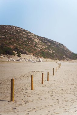 Kumlu bir plajda tahta direkler. Yüksek kalite fotoğraf