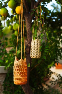 Bahçeye asılmış halat ve cam kavanozdan yapılmış bahçe feneri hasarı. Yüksek kalite fotoğraf