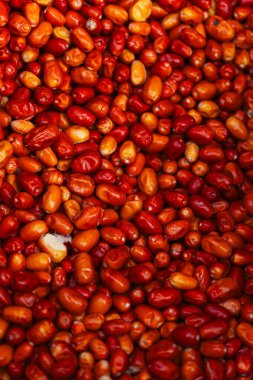 Kurutulmuş Jigda meyveleri kapanıyor. Yüksek kalite fotoğraf