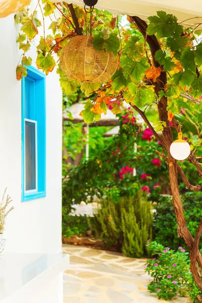 stock image A charming white house featuring a blue window with a lovely tree positioned right in front of it, enhancing the picturesque view