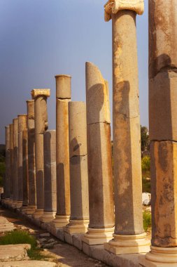 Arka planda, çarpıcı mavi bir gökyüzü uzun ve görkemli taş sütunlar için bir zemin görevi görüyor.