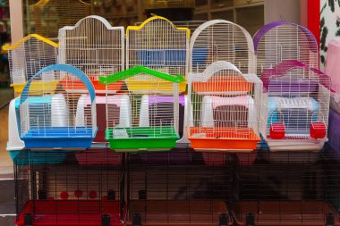 Evcil hayvan dükkanındaki kuşlar ve papağanlar için renkli kafesler. Yüksek kalite fotoğraf