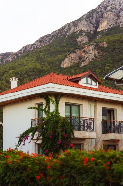 Parlak kırmızı bir çatısı olan büyüleyici beyaz bir ev, arka planda güzel bir dağ manzarası var.