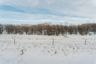 Karda Kazak bozkırı. Kazakistan 'da kar fırtınası sonrası kar tarlası. Yüksek kalite fotoğraf