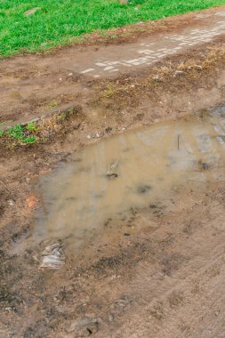 Şehirde çim eksikliği var. Kazakistan 'da peyzaj tasarımı ile ilgili bir sorun var. Toprak ve kaldırımları kirletin. Yüksek kalite fotoğraf