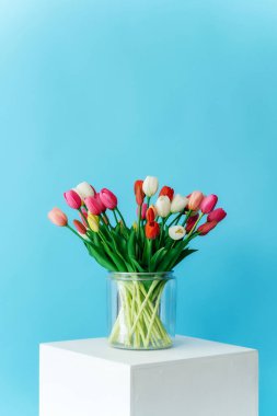 Mavi arka planda beyaz ayaklı renkli laleler. Renkli vazoda bir buket lale tomurcuğu. Yüksek kalite fotoğraf
