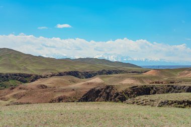Alma bölgesindeki kayalık dağlar. Kazakistan 'da kayalık bölge. Yüksek kalite fotoğraf