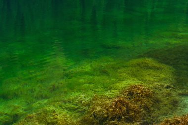 Kazakistan dağlarında içme suyu ile. Rezervuar almaty 'de temiz eritme suyu. Yüksek kalite fotoğraf