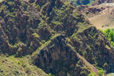 Alma bölgesindeki kayalık dağlar. Kazakistan 'da kayalık bölge. Yüksek kalite fotoğraf