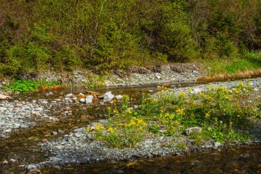 Kazakistan dağlarında içme suyu ile. Rezervuar almaty 'de temiz eritme suyu. Yüksek kalite fotoğraf