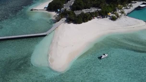 Aerial Drone Videó Trópusi Paradicsom Egzotikus Sziget Öböl Borított Mészkő — Stock videók