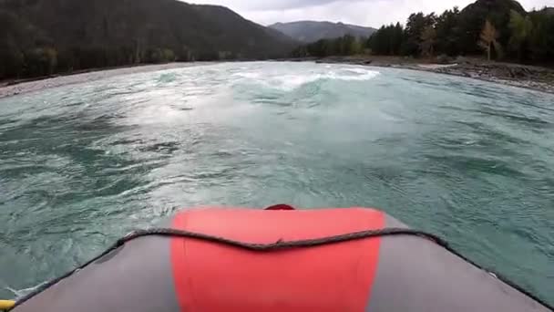 山の川でラフティング ボートで観光客は山の川でラフティングされます ロシア シベリア アルタイ山脈 2021年9月6日 — ストック動画