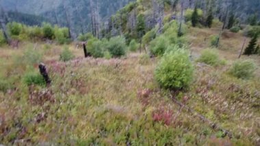 Karlı Altai dağlarının güzel panoramik görüntüsü bulutlu arka planda zirve yapıyor. Kuzey Chuya sırtı.