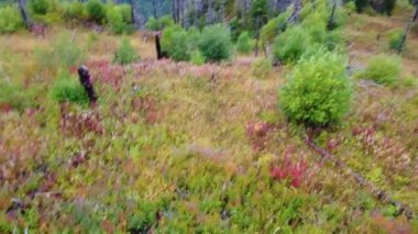 Karlı Altai dağlarının güzel panoramik görüntüsü bulutlu arka planda zirve yapıyor. Kuzey Chuya sırtı.