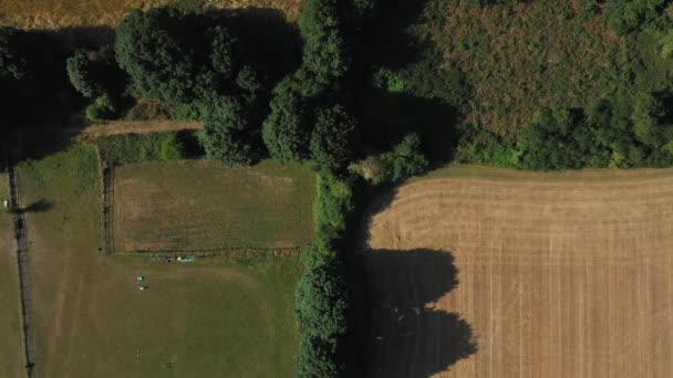 Top Aerial View Green Yellow Wheat Field Farm Greenhouses Golden — Vídeos de Stock