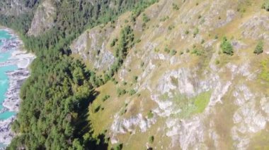 Altai 'deki gölün muhteşem hava manzarası. Güzel bir göl ve ormanların hava manzarası. Altai Dağları
