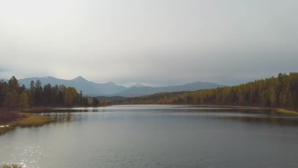 Altai Deki Gölün Muhteşem Hava Manzarası Güzel Bir Göl Ormanların — Stok video