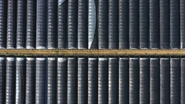 Top Down Aerial View of Green and Yellow Wheat Field Farm and Greenhouses. Golden Crops During Pasture Aerial View. Agricultural Work in Summer During Drought. Grain Crisis. Nature, Harvesting, Eco