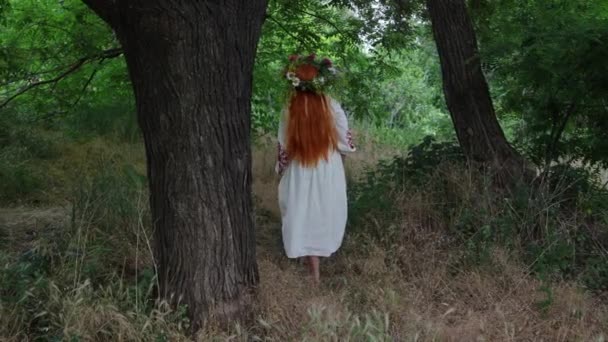 Paganismo Bruxa Menina Bonita Com Longos Cabelos Vermelhos Com Coroa — Vídeo de Stock