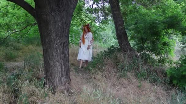 Paganizm Cadı Uzun Kızıl Saçlı Çiçekli Taçlı Nakışlı Etnik Elbisesi — Stok video