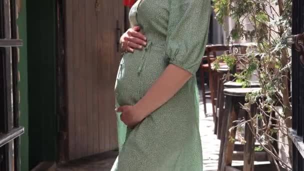 Joven Embarazada Acaricia Vientre Chica Esperando Bebé Mujer Embarazada Tocándose — Vídeo de stock