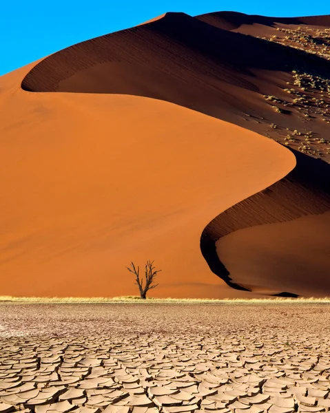 Αμμόλοφος Στην Έρημο Namib Κοντά Στο Sossusvlei Στη Ναμίμπια Αφρική — Φωτογραφία Αρχείου