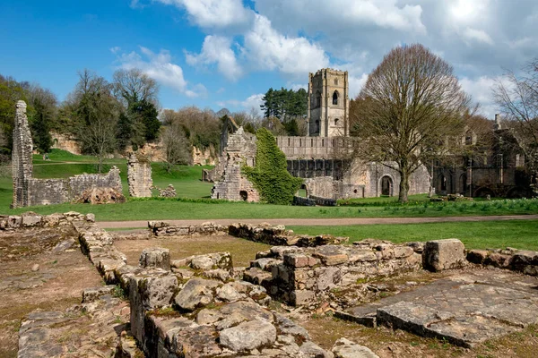 Ruiny Opactwa Fontann Pobliżu Ripon Północno Wschodniej Anglii Założone 1132 — Zdjęcie stockowe