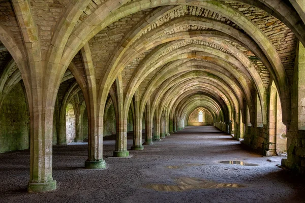 Vaulted Cellarium Fountains Abbey Ripon North Yorkshire Northeast England Founded — Stock Photo, Image