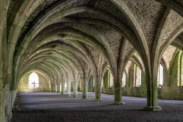 Vaulted Cellarium Fountains Abbey Ripon North Yorkshire Northeast England Founded — Stock Photo, Image