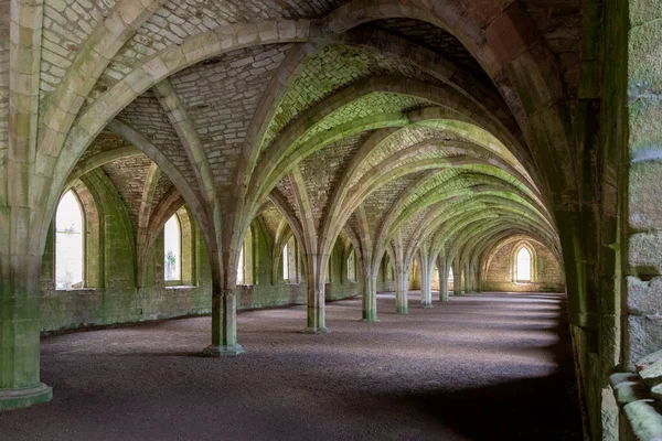 Det Välvda Cellariet Vid Fountains Abbey Nära Ripon North Yorkshire — Stockfoto