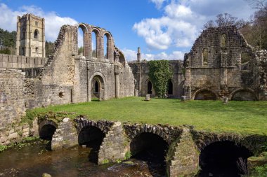 Kuzey Yorkshire, Ripon yakınlarındaki Fountains Abbey harabeleri İngiltere 'nin kuzeydoğusunda. 1132 yılında kurulan manastır, 1538 yılında Kral VIII. Henry 'nin emriyle İngiltere' nin en zengin manastırlarından biri haline geldi..