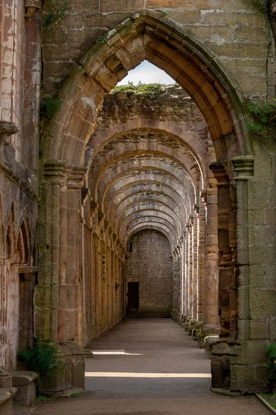 英格兰东北部约克郡北部Ripon附近的喷泉修道院 Fountains Abbey 修道院始建于1132年 在国王亨利八世于1538年下令解散之前 一直运作407年 — 图库照片