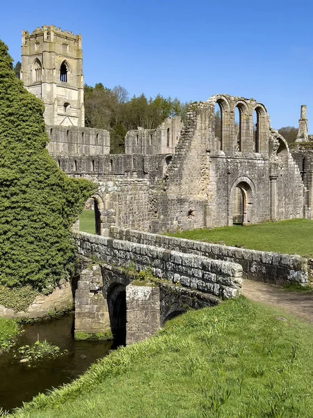 英格兰东北部约克郡北部Ripon附近的喷泉遗址 修道院始建于1132年 运作了407年 成为英格兰最富有的修道院之一 直到1538年根据国王亨利八世的命令解散为止 — 图库照片