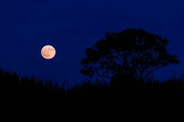 イングランド北東部のノースヨークシャーの田舎で夕暮れ時の満月 — ストック写真