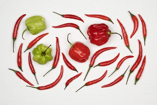 Hot Spicy Scotch Bonnet Jalapeno Chili Peppers — Stock Photo, Image