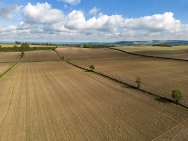 Kuzey Yorkshire, İngiltere 'nin kuzeydoğusunda tarım arazisi.
