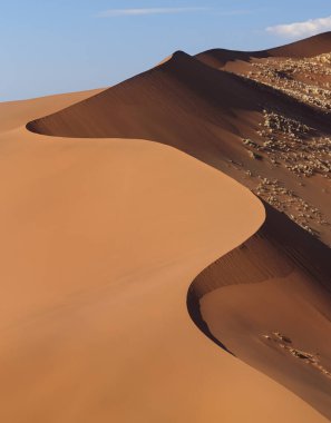 Namib Çölü, Namibya 'daki Namib-Naukluft Ulusal Parkı' ndaki kum tepeleri..