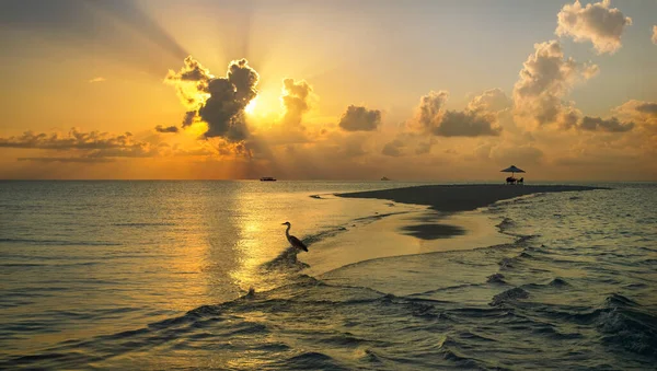 Sandbar Sunset South Ari Atoll Maldives — Stock Photo, Image