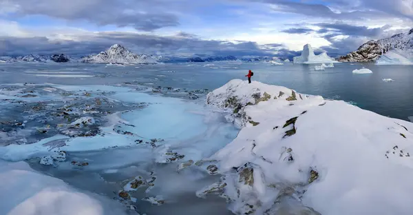 Partly Frozen Sea Icebergs Hurry Inlet Scoresbysund East Coast Greenland — Stock Photo, Image