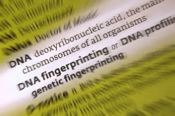 Dna Dna Fingerprinting Dna Profiling — Stock Photo, Image