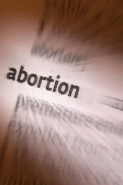 Abortion Termination Pregnancy Removal Expulsion Embryo Fetus Abortion Occurs Intervention Stock Photo