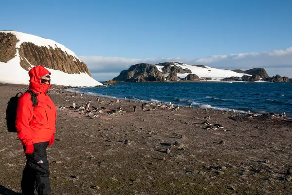 Antarktika Daki Güney Shetland Adalarındaki Macera Turistleri Stok Fotoğraf