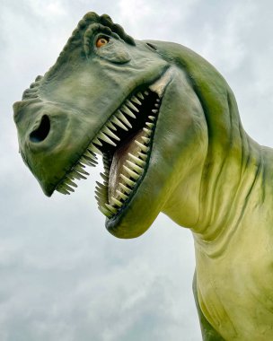 Bir Tyrannosaurus Rex 'in yaşam boyu modeli Kretase döneminden bir yırtıcı..