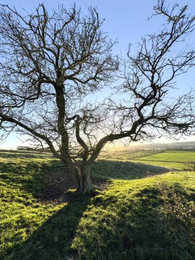 Rural landscape on a fine winters morning in North York Moors National Park in the northeast of England. clipart