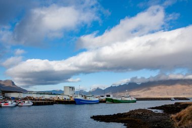 İzlanda 'nın doğusundaki Austurland bölgesinde bulunan bir yarımadadaki küçük Cupivogur limanı. Djupivogur, Berufjordur ve Hamarsfjordur arasında yer alan bir yarımada..