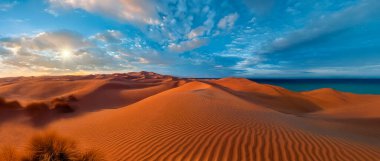 Namib Çölü 'ndeki kum tepeleri Namibya' nın İskelet Sahili, Afrika.