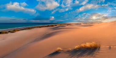 Namib Çölü 'ndeki kum tepelerinde sabah güneşi Namibya, Afrika' nın İskelet Sahili 'nde..